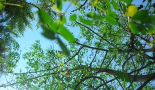 dscn9746